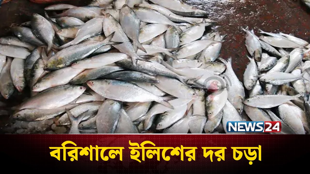 Semiz va sexy fotosuratlar Eshakdagi katta qora xorozlar