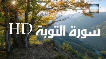 #القرآن الكريم. تلاوة ما تيسر من سورة التوبة.بصوت القارئ إسلام صبحي  HD