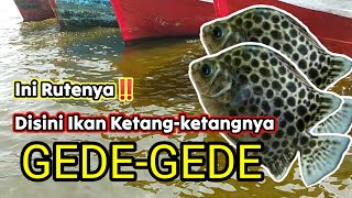 Spot Tersembunyi Muara Angke‼️ Banyak Ketang-ketangnya, Ini Rutenya