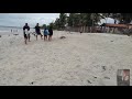 Tartaruga morta na praia de acaú - Paraíba