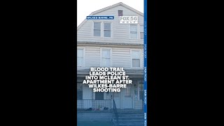 Blood trail leads police into McLean St. apartment after Wilkes-Barre shooting