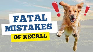 Most Common Recall Training Mistakes AND SOLUTIONS