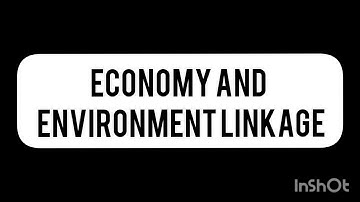economy and environment linkage