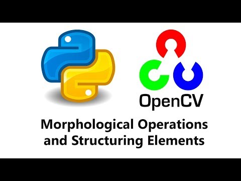 Video: Kam naudojami morfologijos kodai?