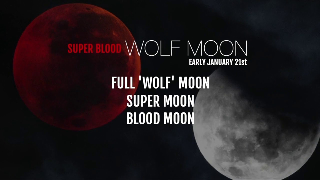 Кровавая луна 7 days. Super Blood Wolf Moon. Wolf Blood Moon. Кровавая Луна с надписью на датском языке. Кровавая Луна слова из стихов.