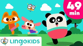 Five Senses Song + More Songs for Kids 🌈 Lingokids