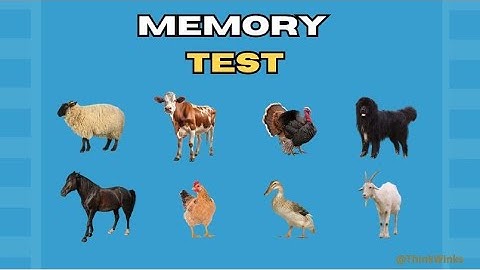 BRAIN STIMULATING GAME 🤯😍 memory test #intuitiontest #testyourskills #braingames #brainstimulation