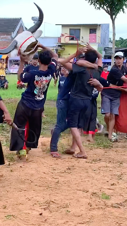 Download lagu Resiko dan Bahayanya Suwitan!! #bantengan #ndadi #jaranan #shortvideo #mberot #shorts