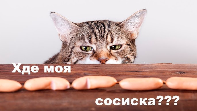 Суреттердегі анальды секс позициялары