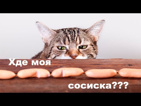 Мәскеудің солтүстік-батысындағы жезөкшелер
