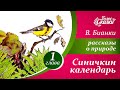 Виталий Бианки - Синичкин календарь - &quot;Январь&quot;  |  Рассказы и сказки о природе для детей