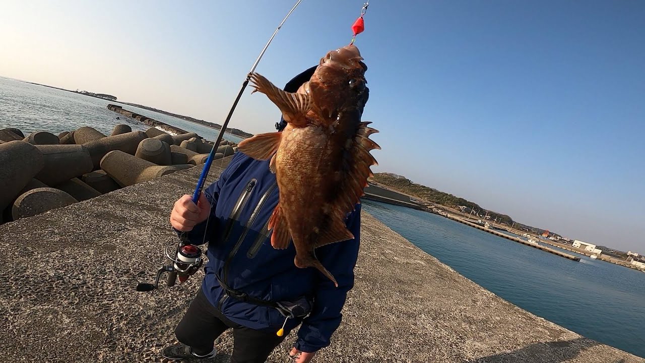 穴釣り 誰もいない堤防で大物の根魚が入れ食いになりました Youtube