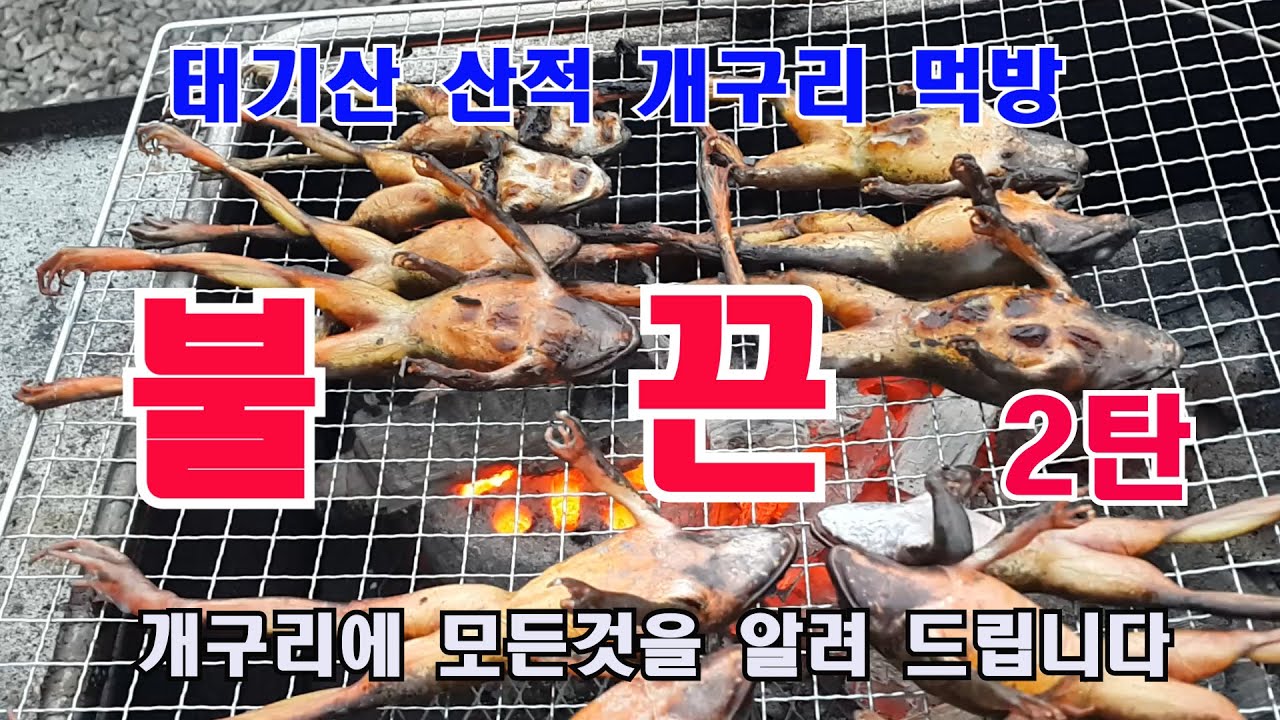 추운 겨울 태기산 산적 북방 산개구리 먹방 2탄 # 개구리손질 ,#개구리구이 #개구리암수구별하기#  3탄에서 또 만나요