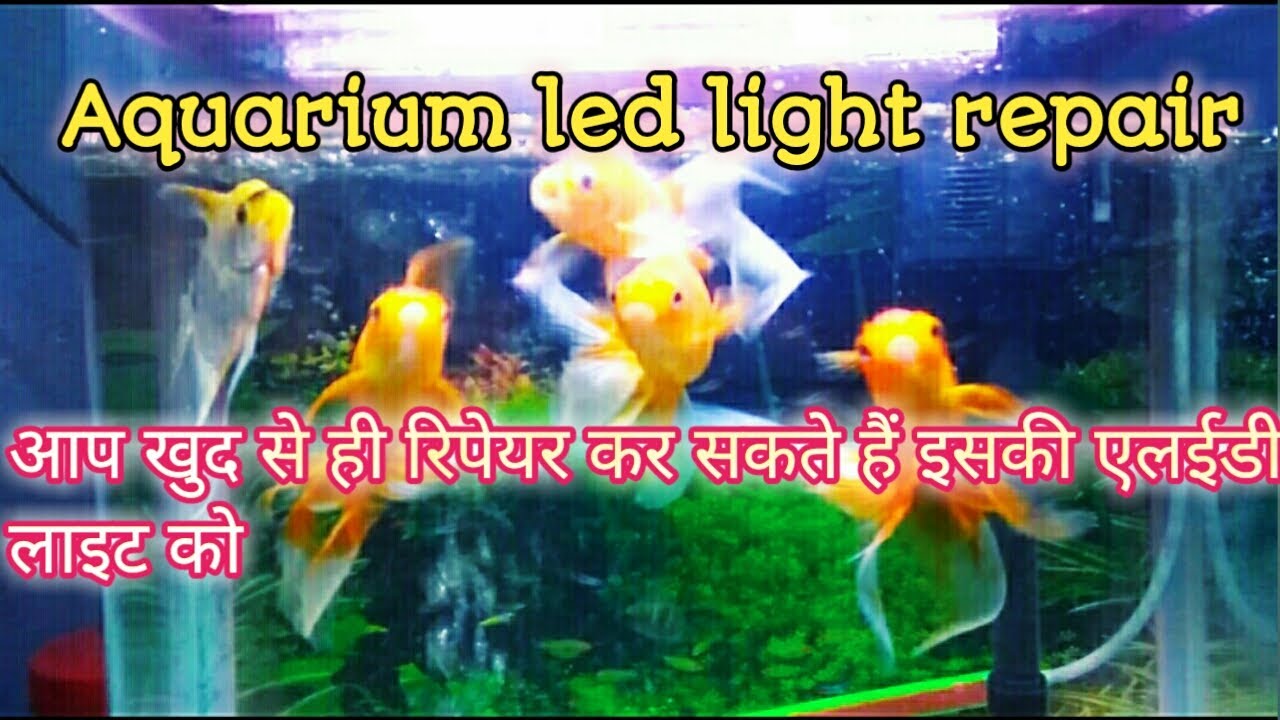 Aquarium led light repair आप खुद से ही रिपेर कर सकते हैं how to