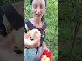 VANTAGENS DE MORAR NA ROÇA