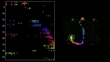 Uncovering the Neural Basis for Hypothetical Thinking in Rats
