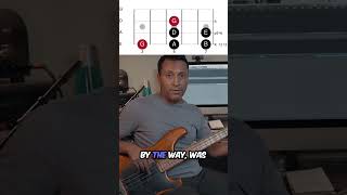 Same Bass Scale, Different Feel – Hear the Difference