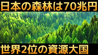 【衝撃】日本に眠る「森林資源」に世界が震えた！