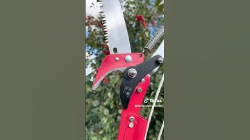 Bộ kéo dùng cắt cành tỉa nhánh trên cao, cắt đọt đôn tàn cho cây ăn quả cây ảnh cây xanh đô thị