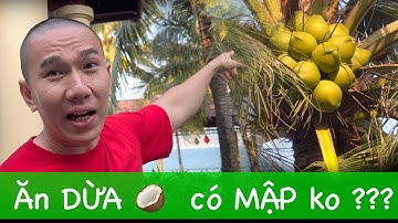 Ăn DỪA 🥥 có MẬP không ? Tại sao bạn uống nước dừa ko mập, còn ăn cơm dừa thì MẬP - #ryanlongfitness