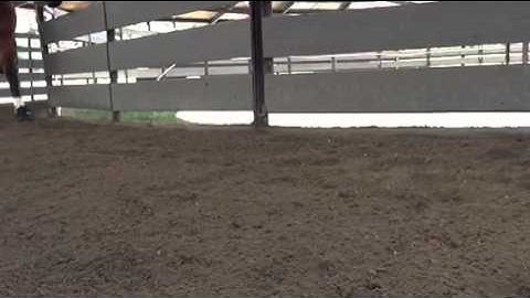 Easyboot Cloud at a trot slow motion