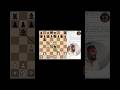 Italian Gambit! Only chess opening you need to know. (Hindi) #chess #indianchess #worldchess