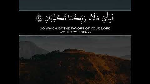 { كل من عليها فان } القارئ || بندر آل يسر 🍃