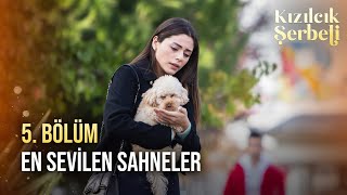 5. Bölüm En Sevilen Sahneler Kızılcık Şerbeti