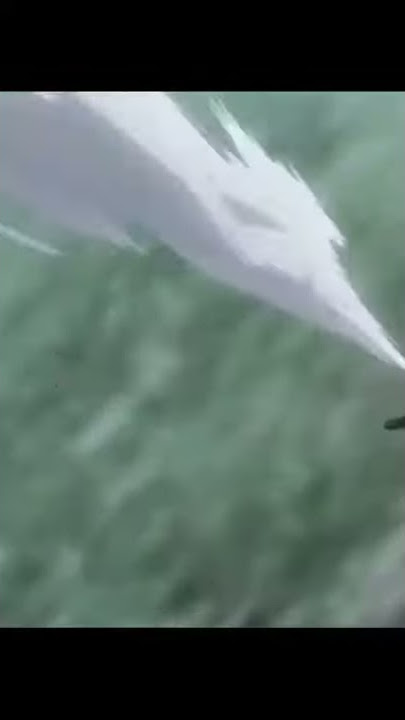 30 seconds of Badass Levi