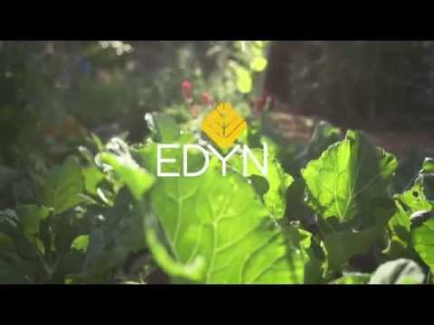Video: Nehmen Sie Das Rätselraten Aus Der Gartenarbeit: Wir Probieren Den Edyn Garden Sensor Aus
