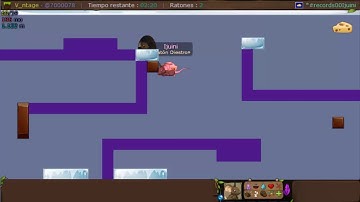 Bootcamp  #12 + 2 WORLD RECORDS! [Transformice]