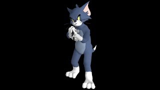 Tom CSS