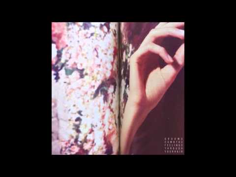 Foster Sister Video