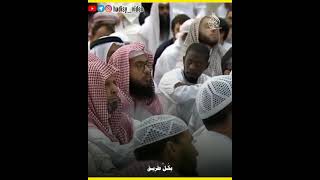 Ибн аль Кайим: Человек и Шайтан