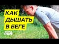 Как дышать 💨 в беге? 🏃🏻♂️ Устройство лёгких бегуна