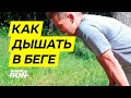 Как дышать 💨 в беге? 🏃🏻‍♂️ Устройство лёгких бегуна