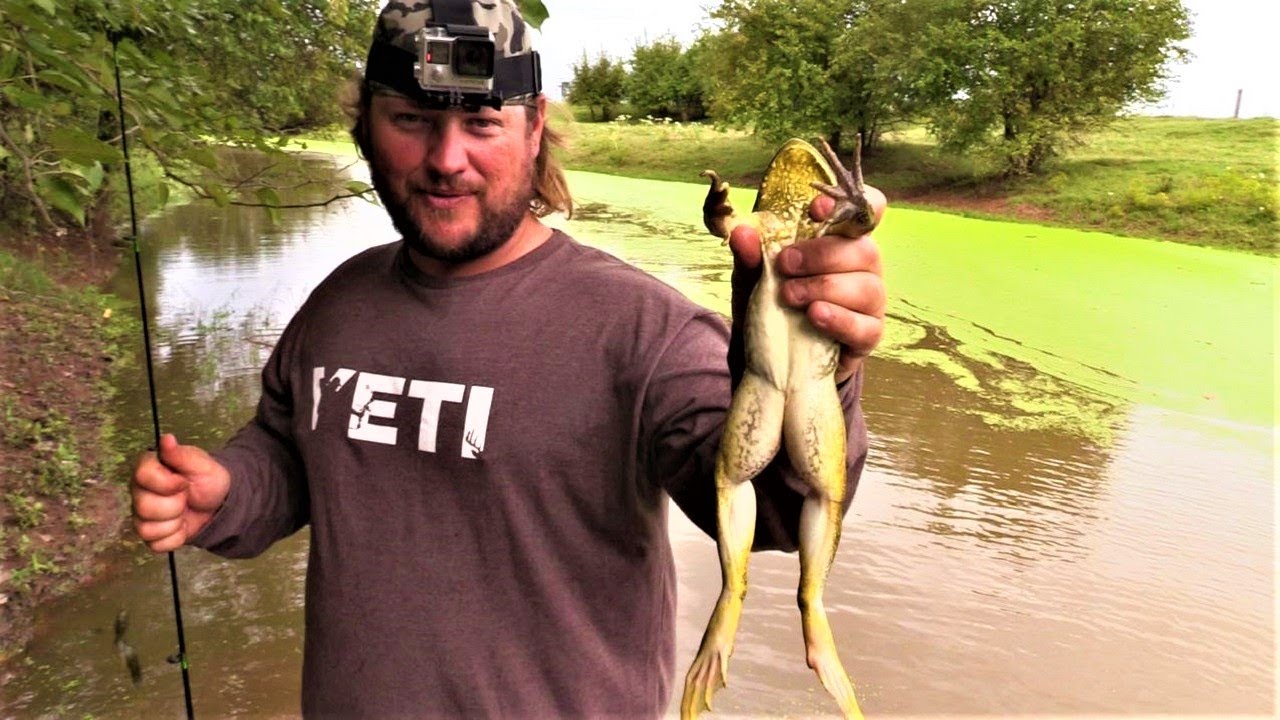 FISHING FOR BULLFROGS {BULLFROG ATTACKS WORM} - YouTube
