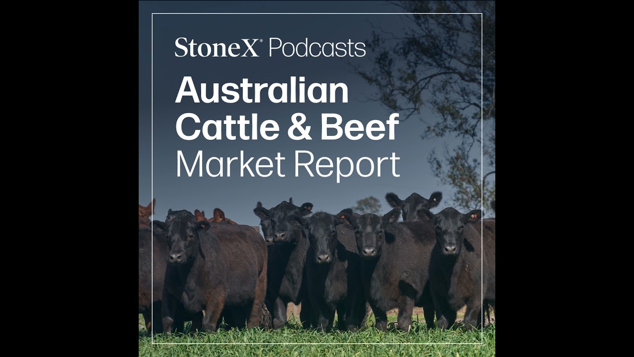 2025 Australian Beef Production Outperforms – Cycle Highs, Capacity & Grainfeds