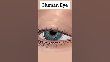 Human eye animation #eye #shorts #viral