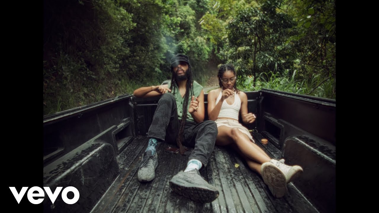 Protoje Zion I Kings   Weed  Tings Visualizer