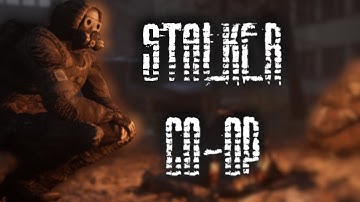 S.T.A.L.K.E.R Co-Op in 2025
