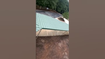 Flying my favorite FPV Drone! #quadmula #gopro #fpvfreestyle #hero11 #dji #fpvpilot #uap #fyp #ufo