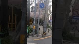 논현은행나무공원 영상