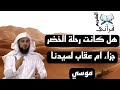 قصة موسي عليه السلام و الخضر من قصص سورة الكهف للدكتور محمد العريفي 