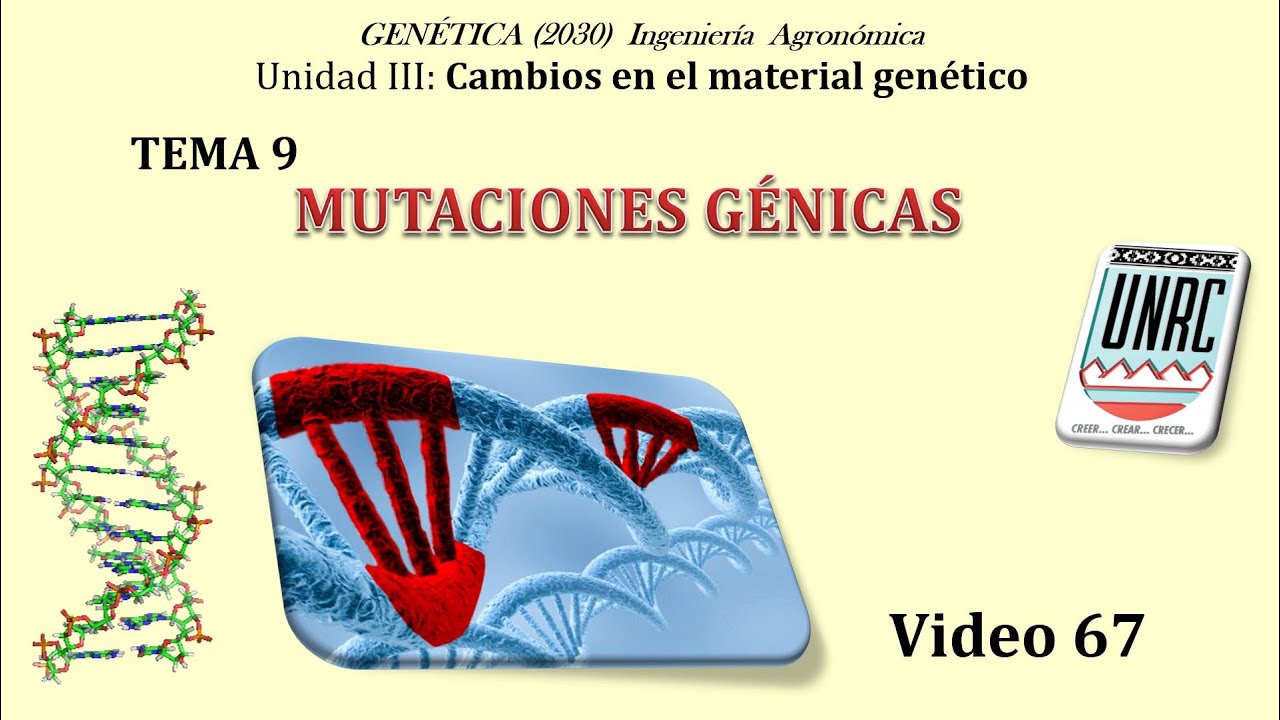 70 Tema 9 Mutaciones génicas. Efectos sobre traducción. Genética (Cód. 2020)