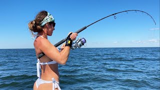 These Fish Are Hungry Gulf Snapper Fishing