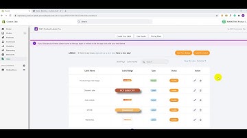 How to Add a Badge to Shopify Products?