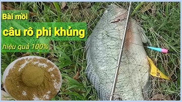 Chia sẻ bài mồi câu rô phi khủng.Đi test mồi và cái kết không tưởng