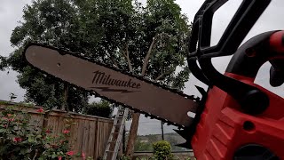 Milwaukee M18 Top Handle Chainsaw, 5 Minutes of Awesome