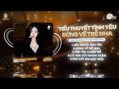 Mashup Remix Gây Bão TikTok - Tiểu Thuyết Tình Yêu x Tình Yêu Chậm Trễ x Có Hẹn Với Thanh Xuân Remix